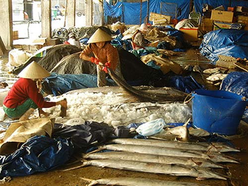 Giải thế cờ biển Đông