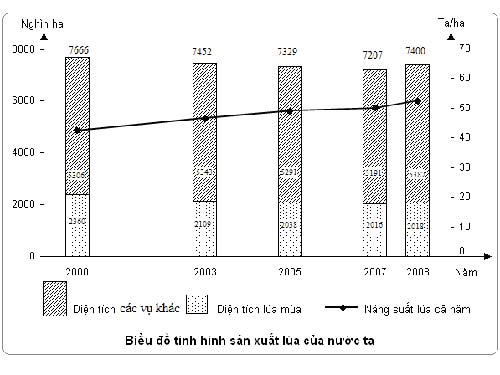 Làm đúng không hẳn có điểm?