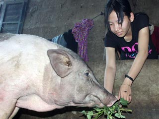 Bán cá, chăn bò vẫn thủ khoa