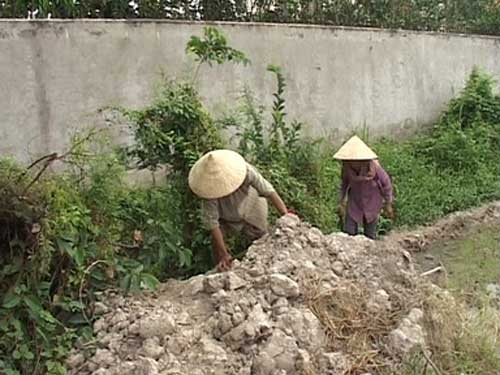 Rào đường đi- dứt tình cha mẹ