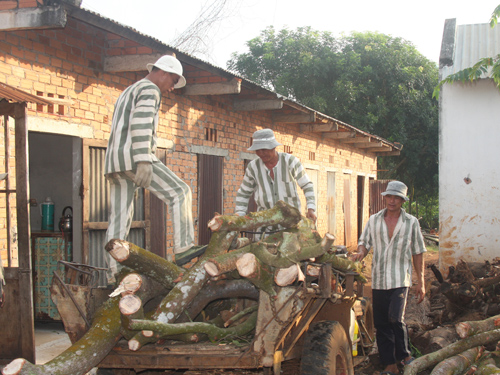 Một lần lầm lỡ…