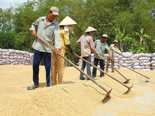Nhiều chính sách mới có hiệu lực từ tháng 10-2011