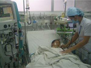 Chó phá tổ ong, bé 3 tuổi bị vạ