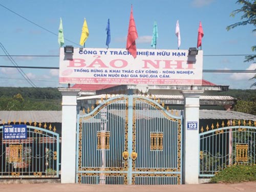 Bắt khẩn cấp giám đốc lừa đảo