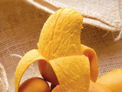 Ăn xoài ngừa ung thư vú