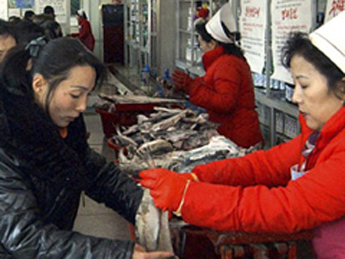 Ông Kim Jong-il “ký giấy tờ đến đêm 16-12”