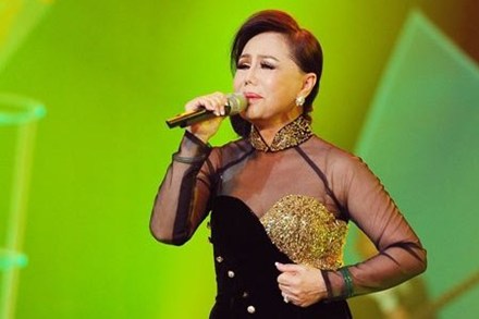 6 nghệ sĩ hải ngoại bị cấm diễn ở Việt Nam