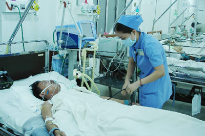 Một ngư dân nguy kịch do ăn bạch tuộc đốm xanh