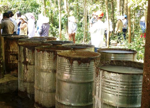 Vụ chôn thuốc trừ sâu: Phạt hành chính 420 triệu đồng