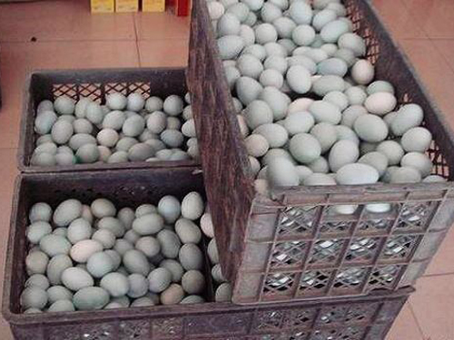 Trứng vịt muối Trung Quốc “dính” chất gây ung thư