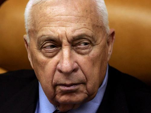 Não ông Ariel Sharon hoạt động sau 7 năm hôn mê