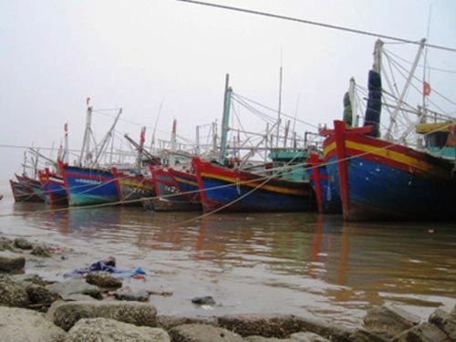 Ngư dân Thanh Hóa làm “chui” trên tàu cá Trung Quốc