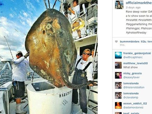 Bắt được “cá quái vật” 362 kg