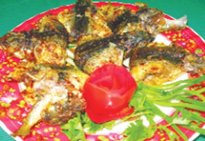 Cá chuồn chiên gập