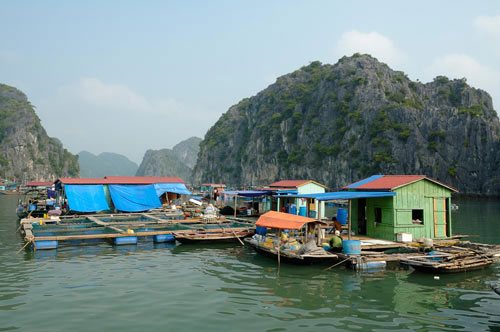 Bình yên làng chài Cửa Vạn
