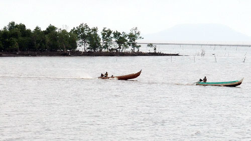 Vườn quốc gia Mũi Cà Mau được công nhận khu Ramsar