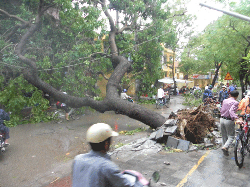 Xem xét trách nhiệm giám đốc sở không trực bão