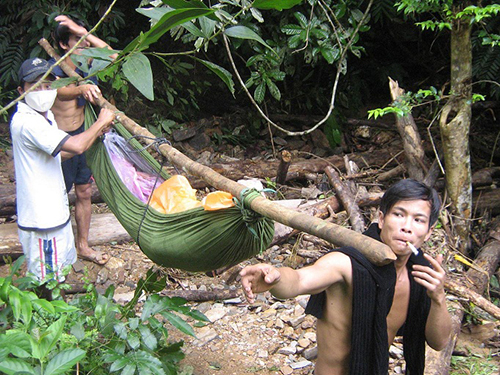 Trần ai truy quét “vàng tặc”