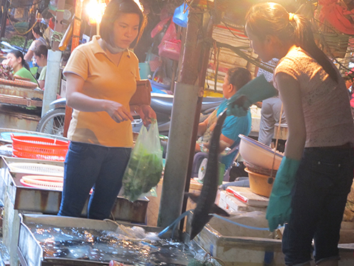 Thủy sản Trung Quốc ngập chợ