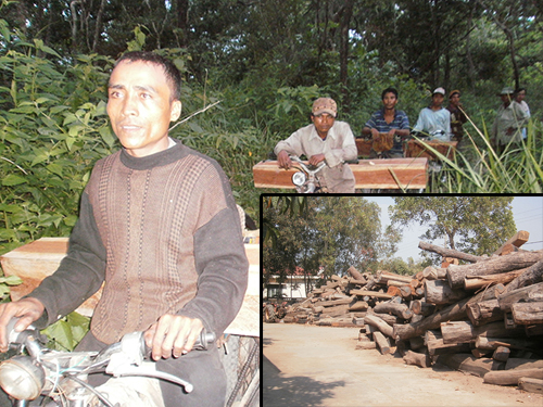 Rừng Tây Nguyên teo tóp