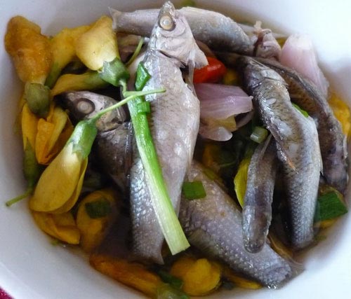 Cá linh của má