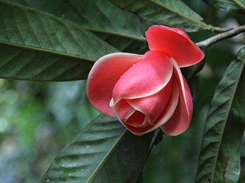 Xin hãy để rừng Cát Tiên yên!