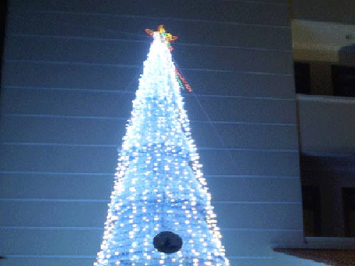 Ngắm cây thông Noel lạ tại Bến Tre