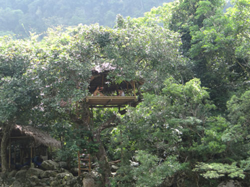 Nhà hàng "tổ chim"
