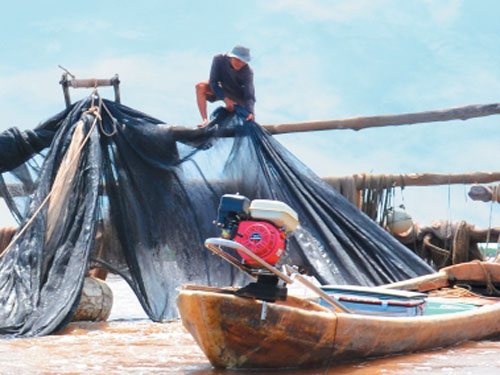 Bãi bồi mùa đăng cá giống