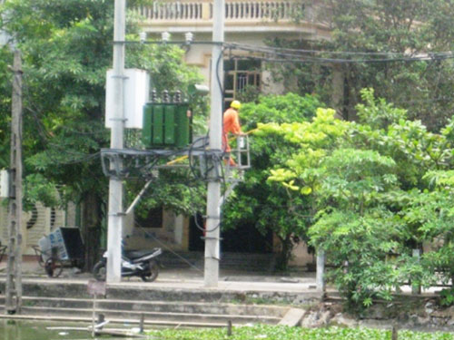 Đi câu cá, bị điện giật cháy sém