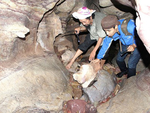 Đánh thức động A Po Ly Hong