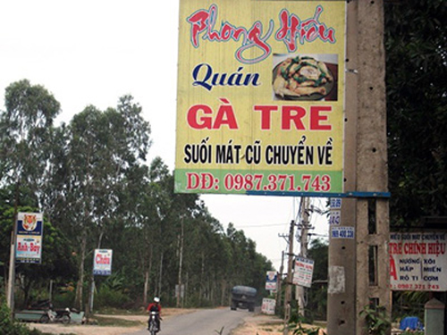 Đi tìm gà tre đèo Le
