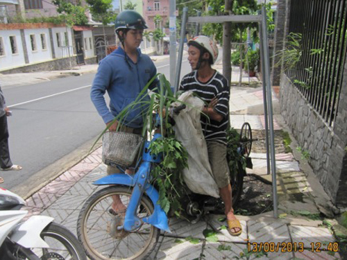 Giả cắt cỏ để trộm, bị “hiệp sĩ” bắt quả tang