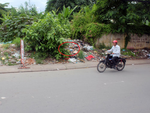 Thai nhi 7 tháng tuổi bị vứt bên đường