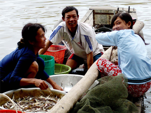 Mùa nước nổi ăn cá linh