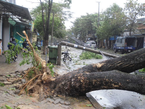 Đà Nẵng, Quảng Nam tan hoang, đã có 4 người chết