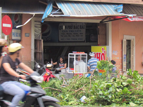 Đà Nẵng hồi sinh ngay sau bão tan