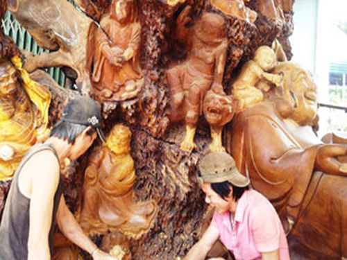 Xem gốc dâu "thiên cổ" thành hình Phật Di Lặc và Thập bát La hán