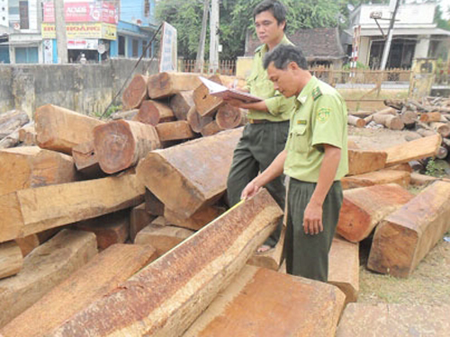 Chuyển công tác 2 cán bộ kiểm lâm bị tai tiếng