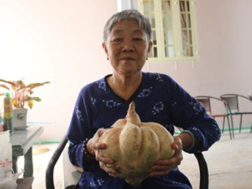 Củ khoai hình quả bí