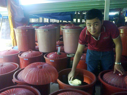 Trở thành tỉ phú từ nuôi…. dế