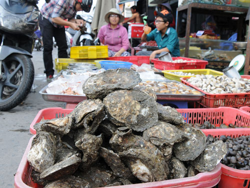 Nuôi dưỡng “tinh binh”