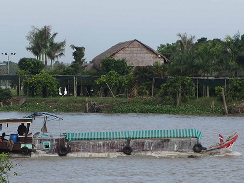 Đua nhau “ăn” đất