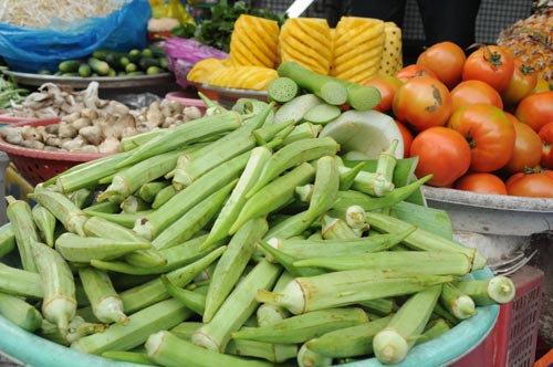 Đậu bắp - lợi ích khó ngờ