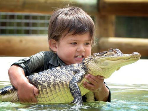 Bé 3 tuổi đánh vật với cá sấu