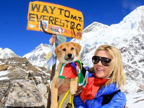 Chú chó đầu tiên chinh phục đỉnh Everest