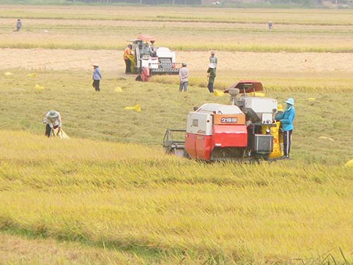 Chưa đánh giá đúng về kinh tế