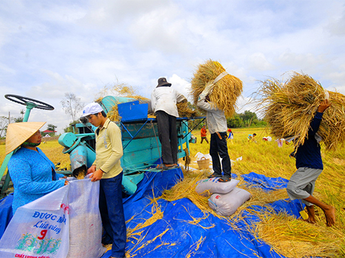 Đánh thức tiềm năng ĐBSCL