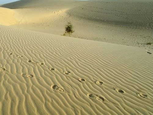 Phát hiện 87 thi thể chết khát trên Sahara