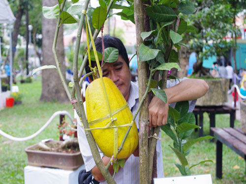 3 hiện vật đoạt giải đặc sắc tại Hội hoa Xuân 2012